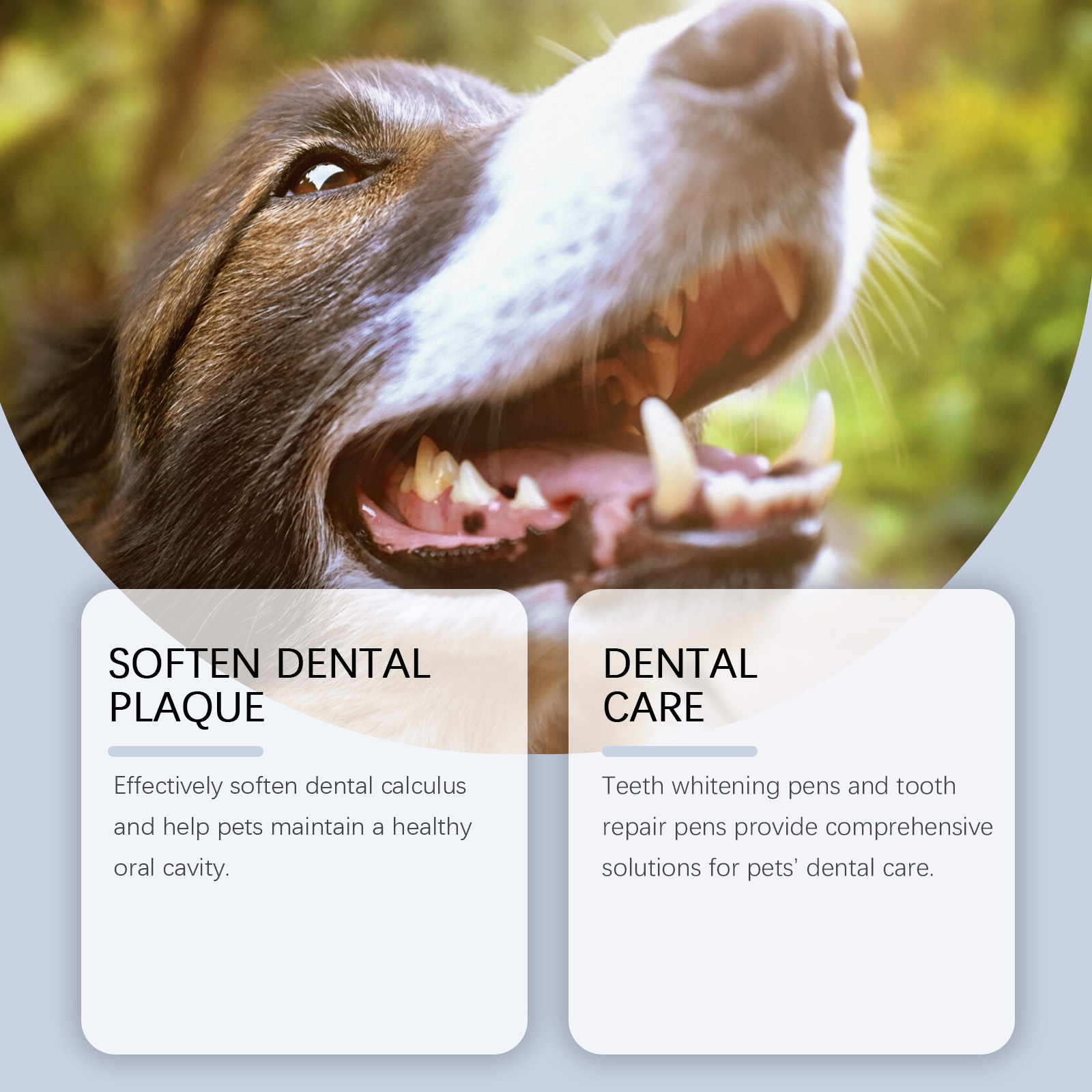 Pet Teeth Whitening Pen Set fo - Teeth Whitening Pens 评论和价格